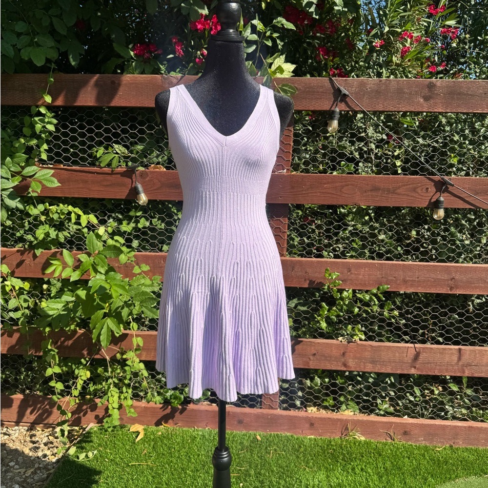 Express Sleeveless Knit Dress in Lavender #41